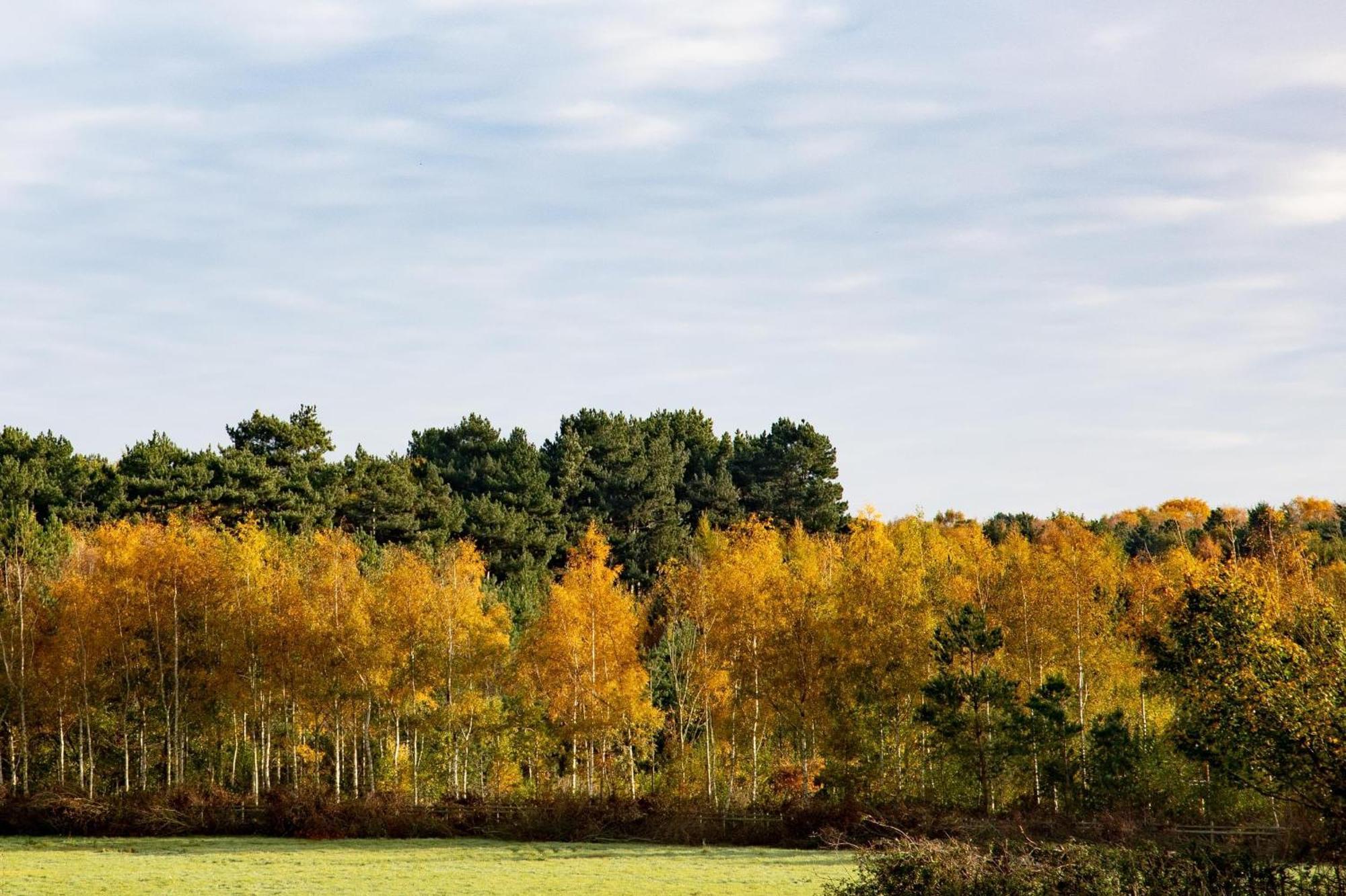Crowne Plaza East Midlands Airport By Ihg Hotel Derby Luaran gambar